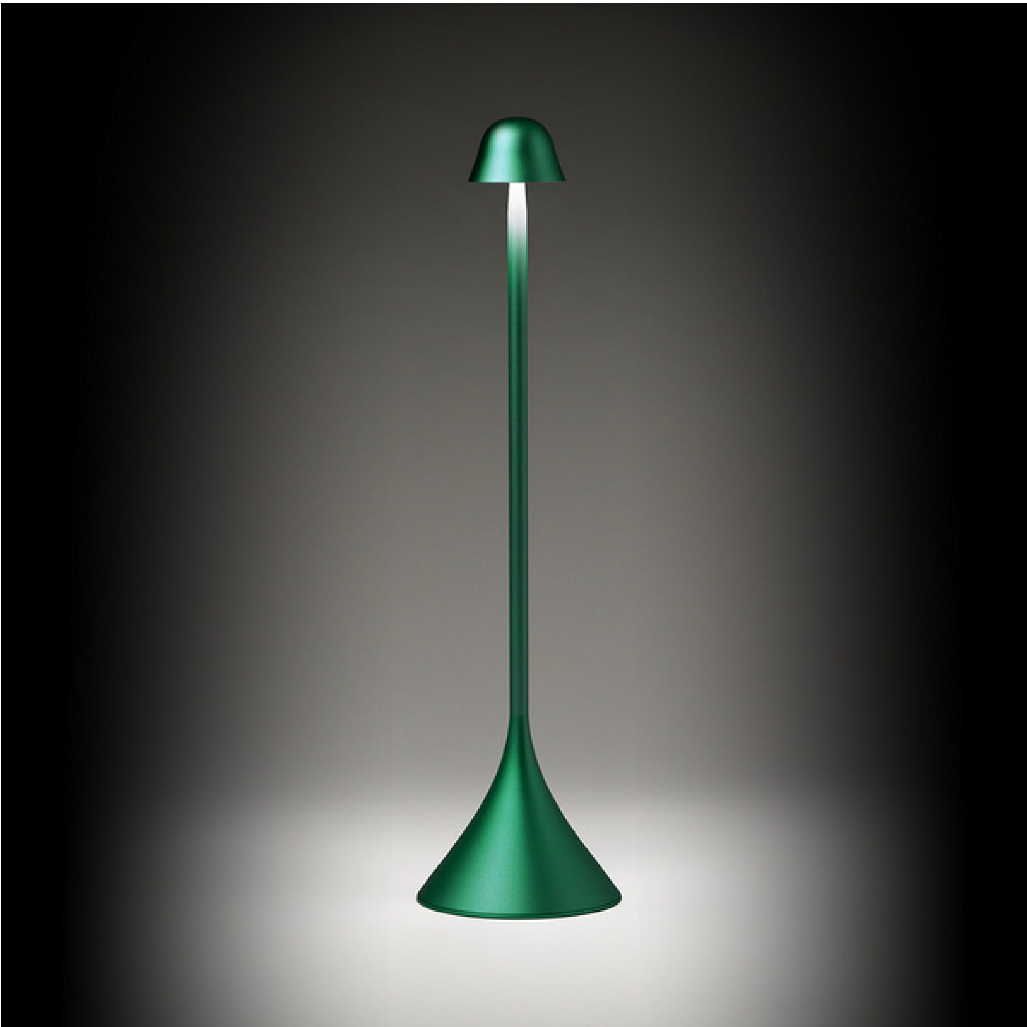 Lampe-Lexon-STELI-personnalisable–vert-6-